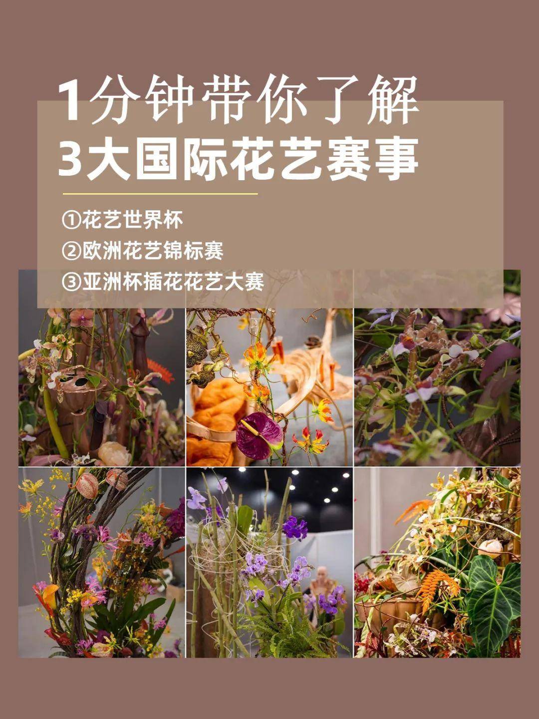 极具影响力的国际花艺赛事总结(图1)